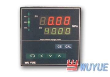 PW500智能溫度壓力儀表(smart digital temperature and pressure measuring display)